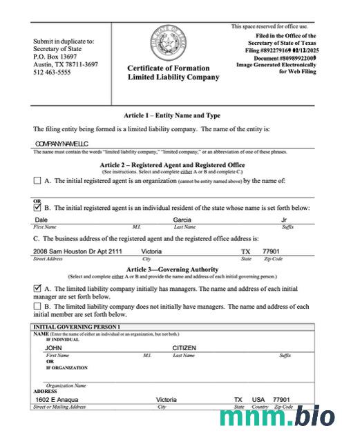 USA vcertyfikat of formation limited liability company Word i szablon PDF